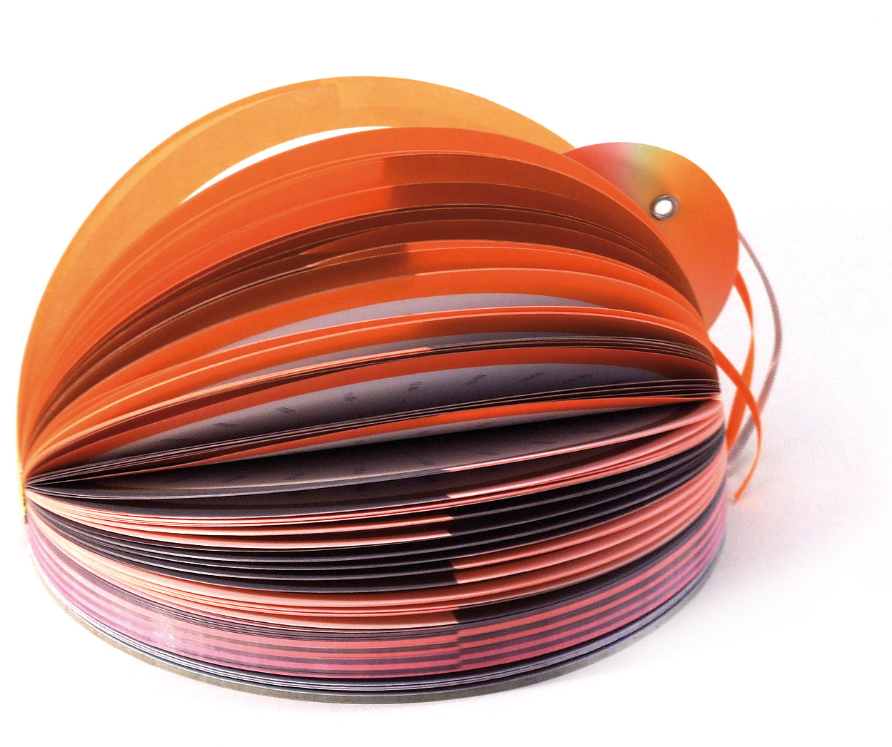 Drukkerij Elco > Dagdromers en nachtvlinders