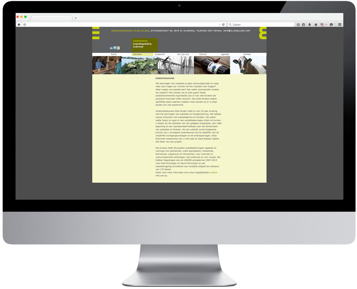 Onderzoeksbureau Elles Bulder > Website